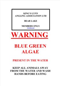 Blue Green Algae